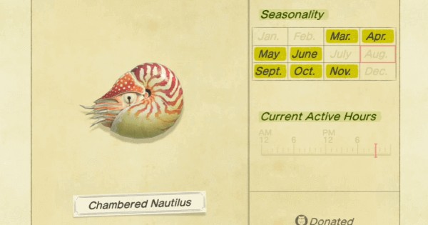 Guide Bugs Fish And Sea Creatures Arriving In September For Animal Crossing New Horizons Nintendosoup