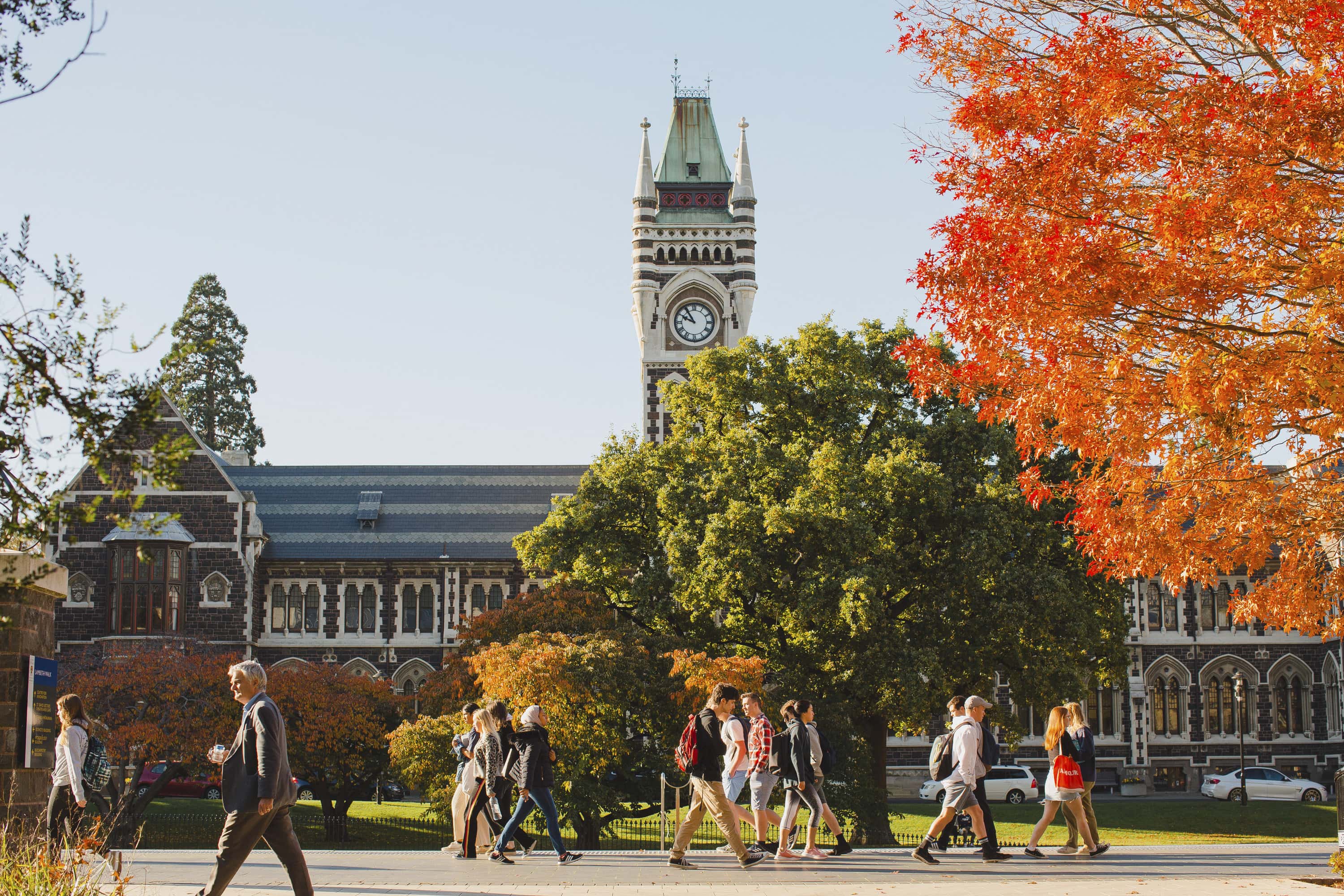 Pricing Nzuni Talent