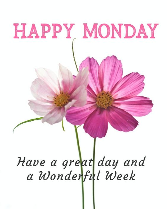 65 Good Morning Monday Quotes With Gifs And Beautiful Images