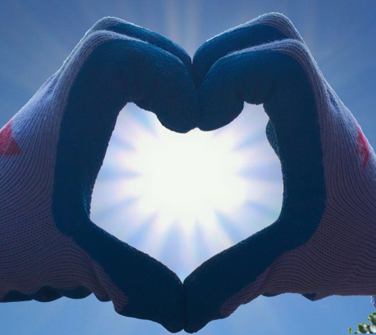 volunteer, donate, charity-1904498.jpg