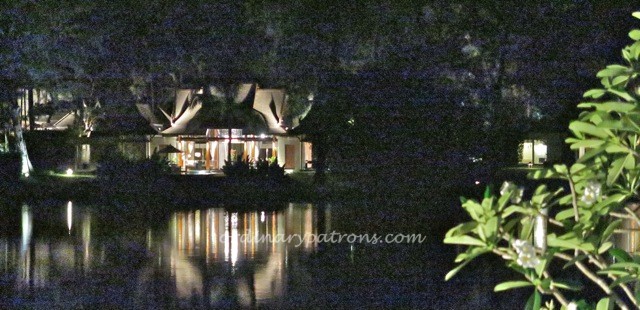 Tre Banyan Tree 11