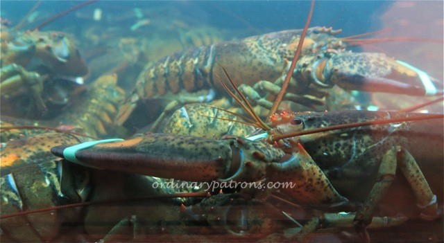 Burger and Lobster London4