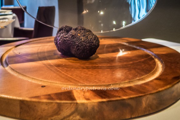 Truffle