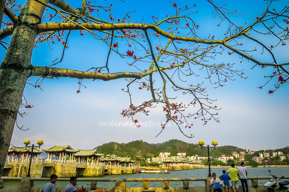 Shantou-6