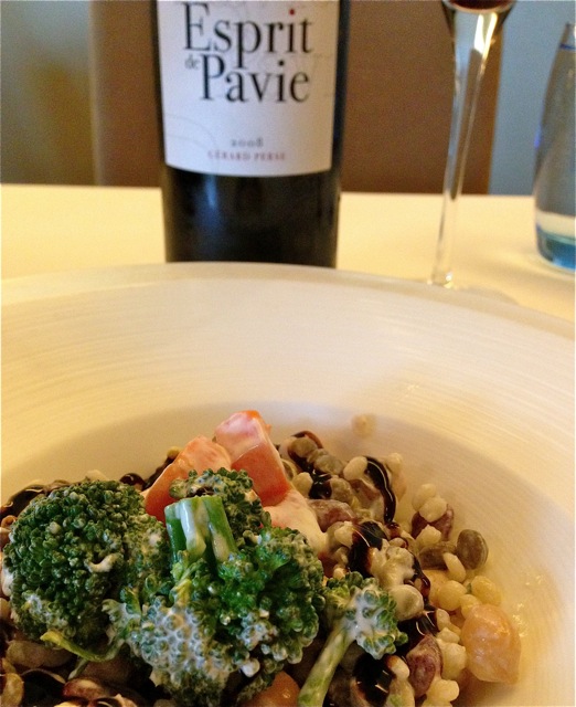 Esprit de Pavie 20083