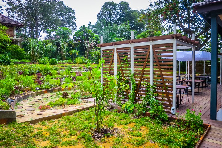 Open Farm Singapore