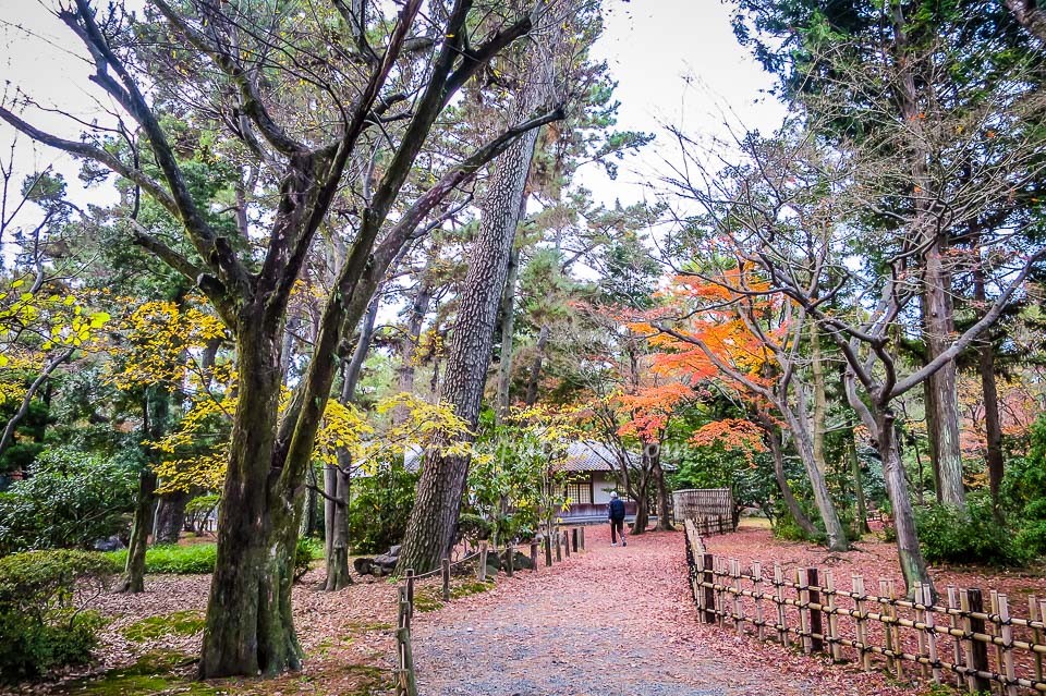 Nagoya Castle
