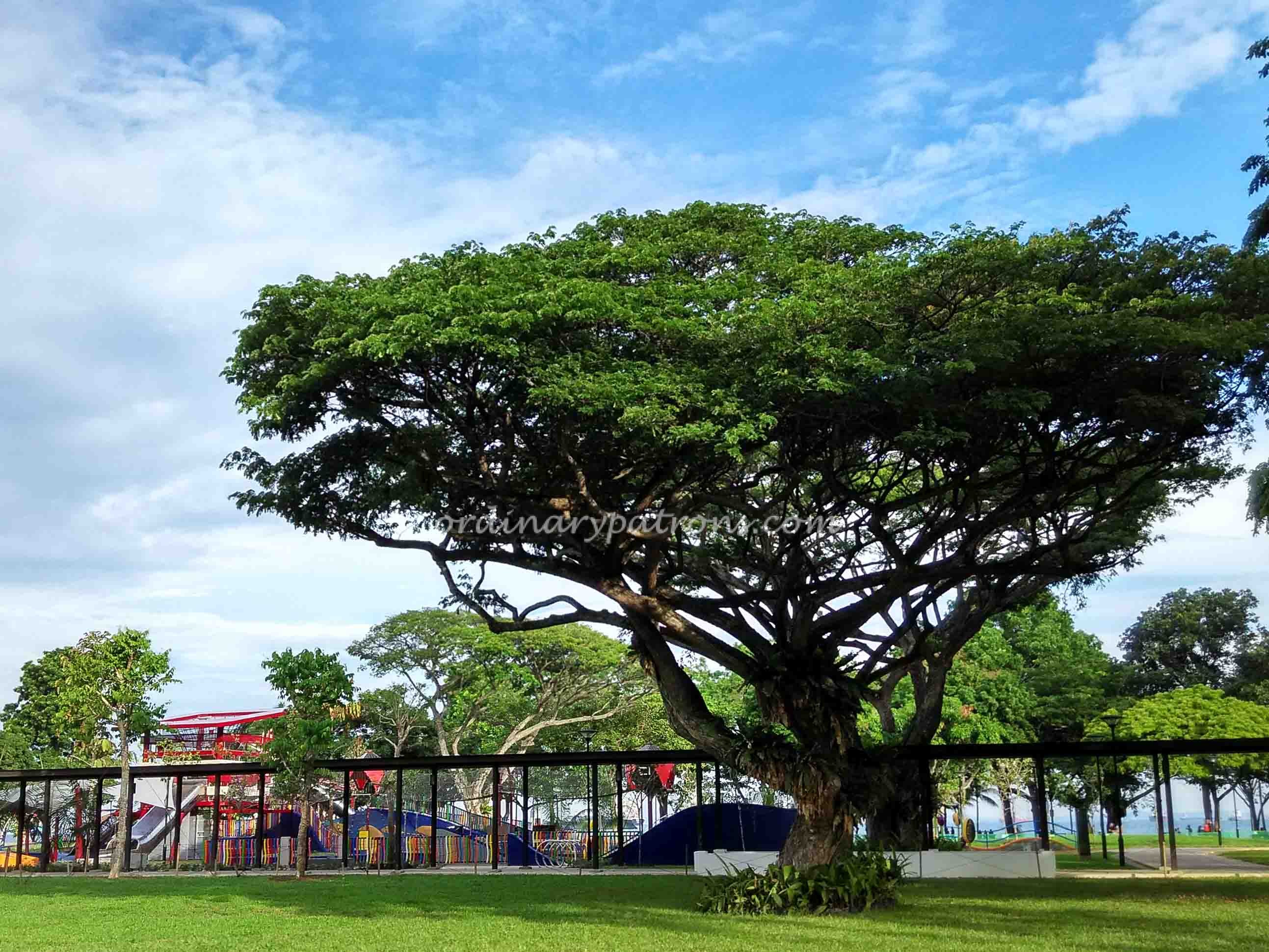 New Marine Cove Children's Playground
