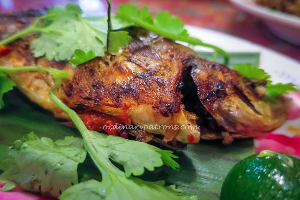 Chilli Padi Fish