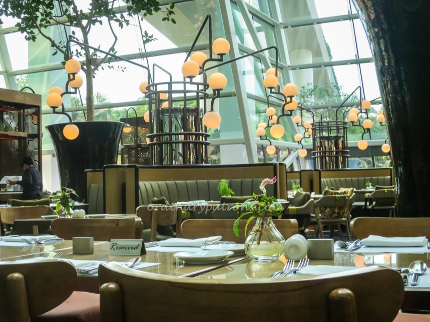 MBS Rise Buffet 