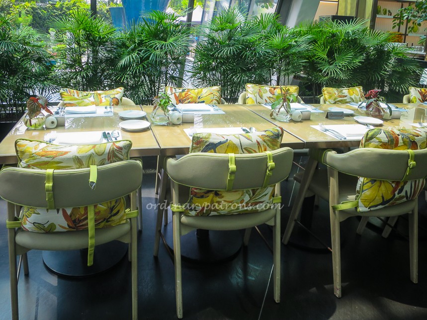 MBS Rise Buffet 