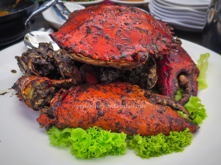 Long Beach pepper Crabs