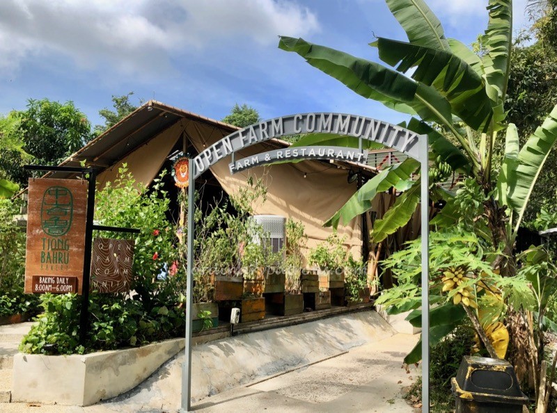 Dempsey restaurants
