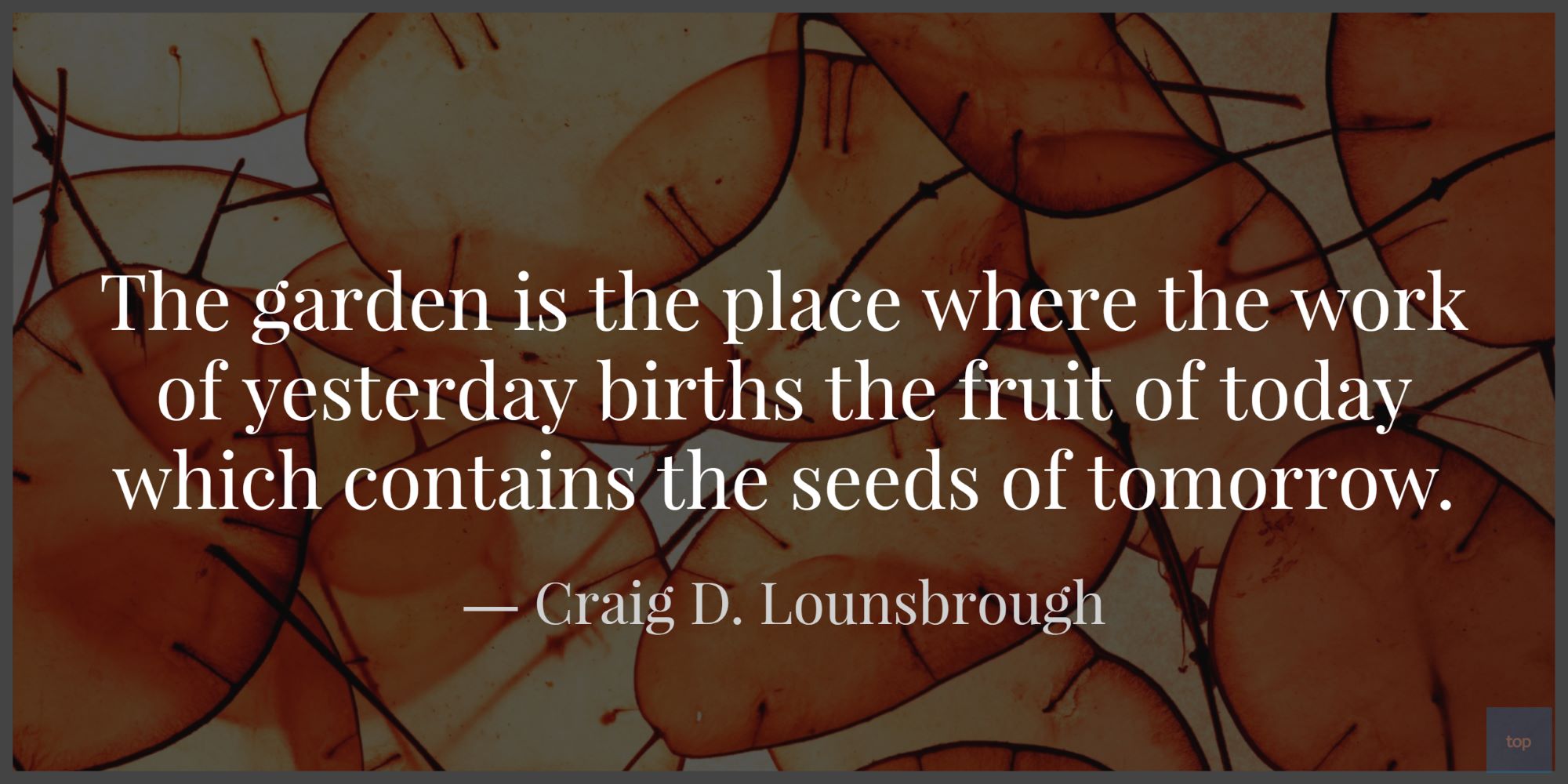 The garden is the place where the work of yesterday births the fruit of today which contains the seeds of tomorrow.― Craig D. Lounsbrough quote