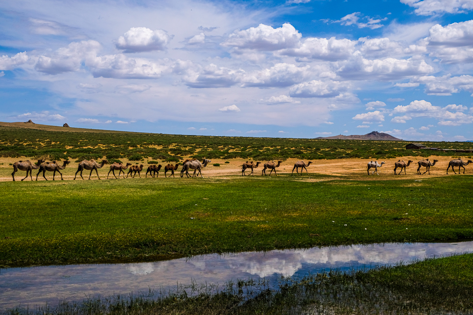 On the way to Sweet Gobi Geolodge