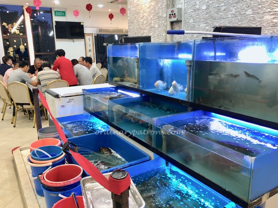 Tekong Seafood Restaurant in Changi Village