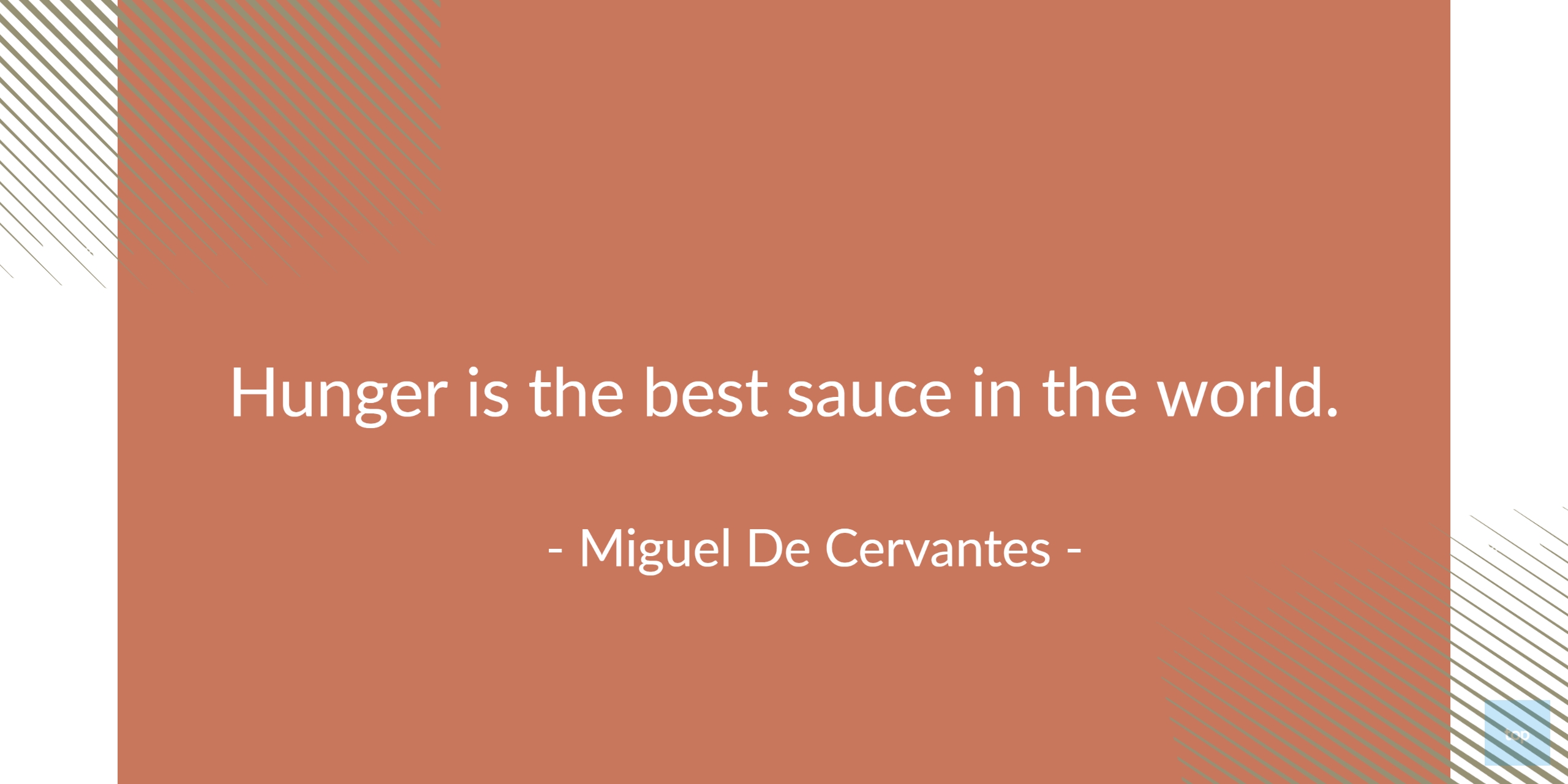 Hunger is the best sauce in the world.-   Miguel De Cervantes   quote