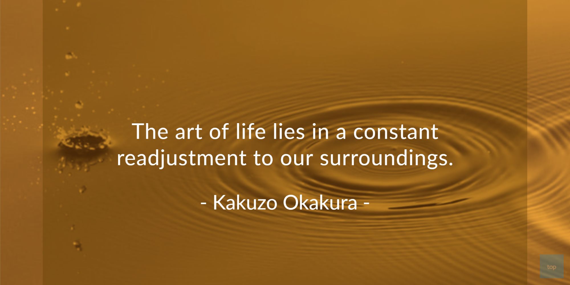 The art of life lies in a constant readjustment to our surroundings. - Kakuzo Okakura   quote