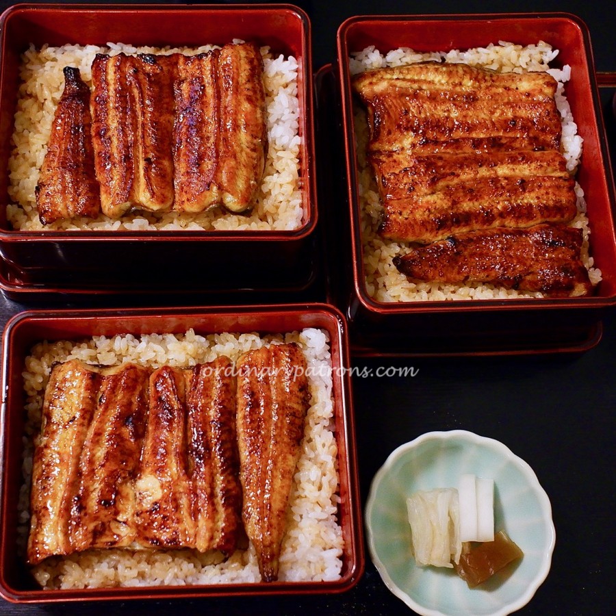 Unagi Hashimoto Unaju