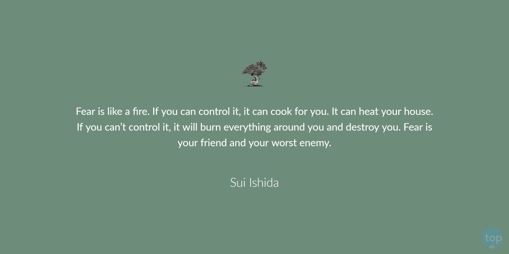 Fear is like a fire. If you can control it, it can cook for you. It can heat your house. If you can’t control it, it will burn everything around you and destroy you. Fear is your friend and your worst enemy. - Sui Ishida quote