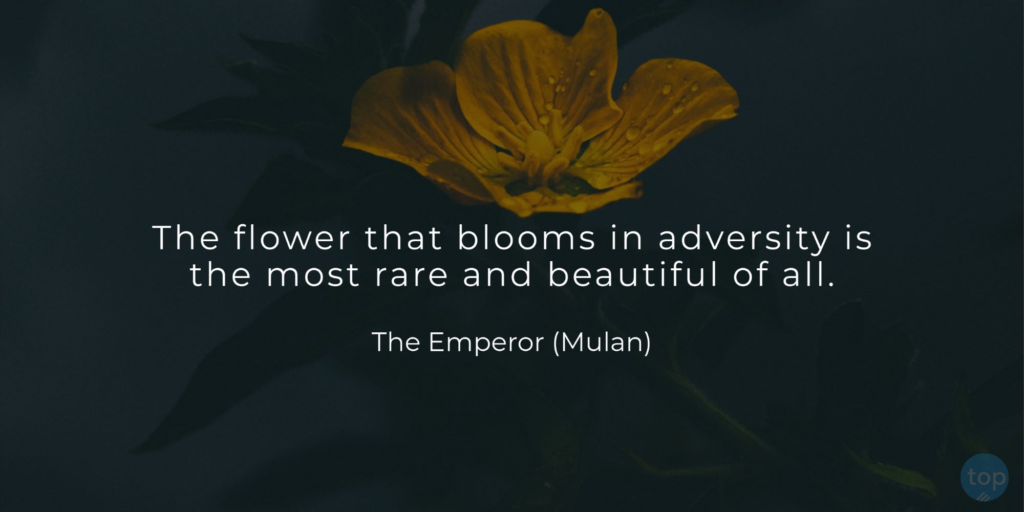 The flower that blooms in adversity is the most rare and beautiful of all. The Emperor (Mulan)