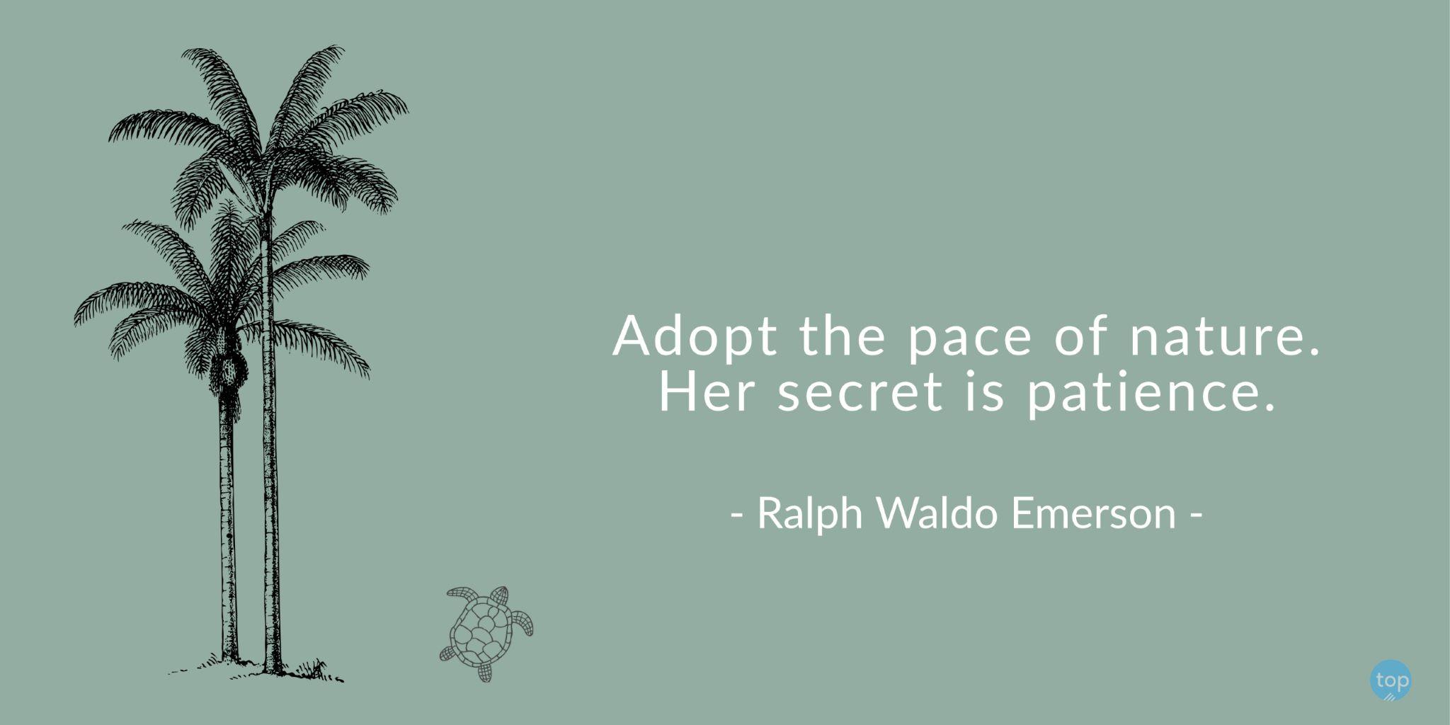Adopt the pace of nature. Her secret is patience. - Ralph Waldo Emersonquote