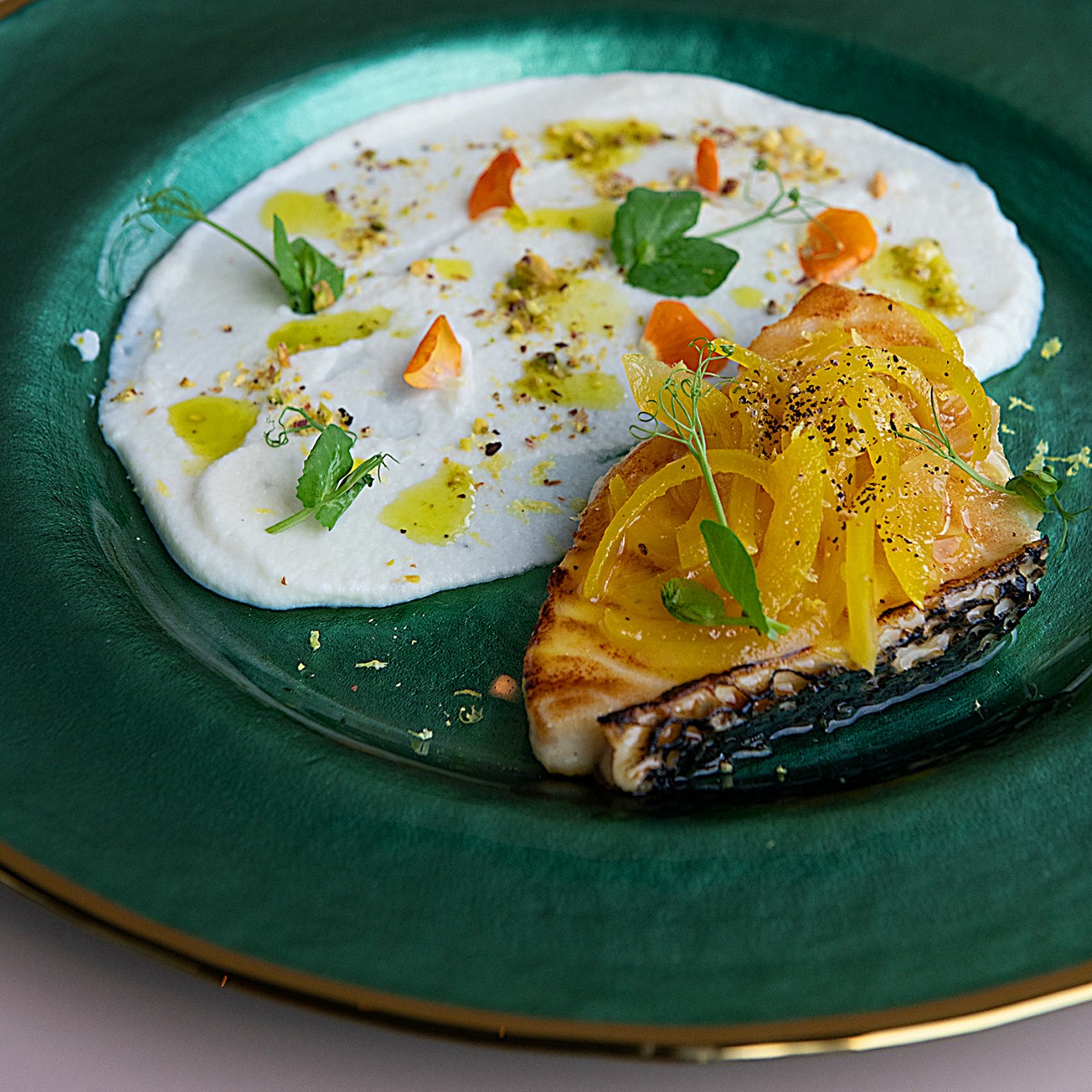 Antarctic Cod Fish