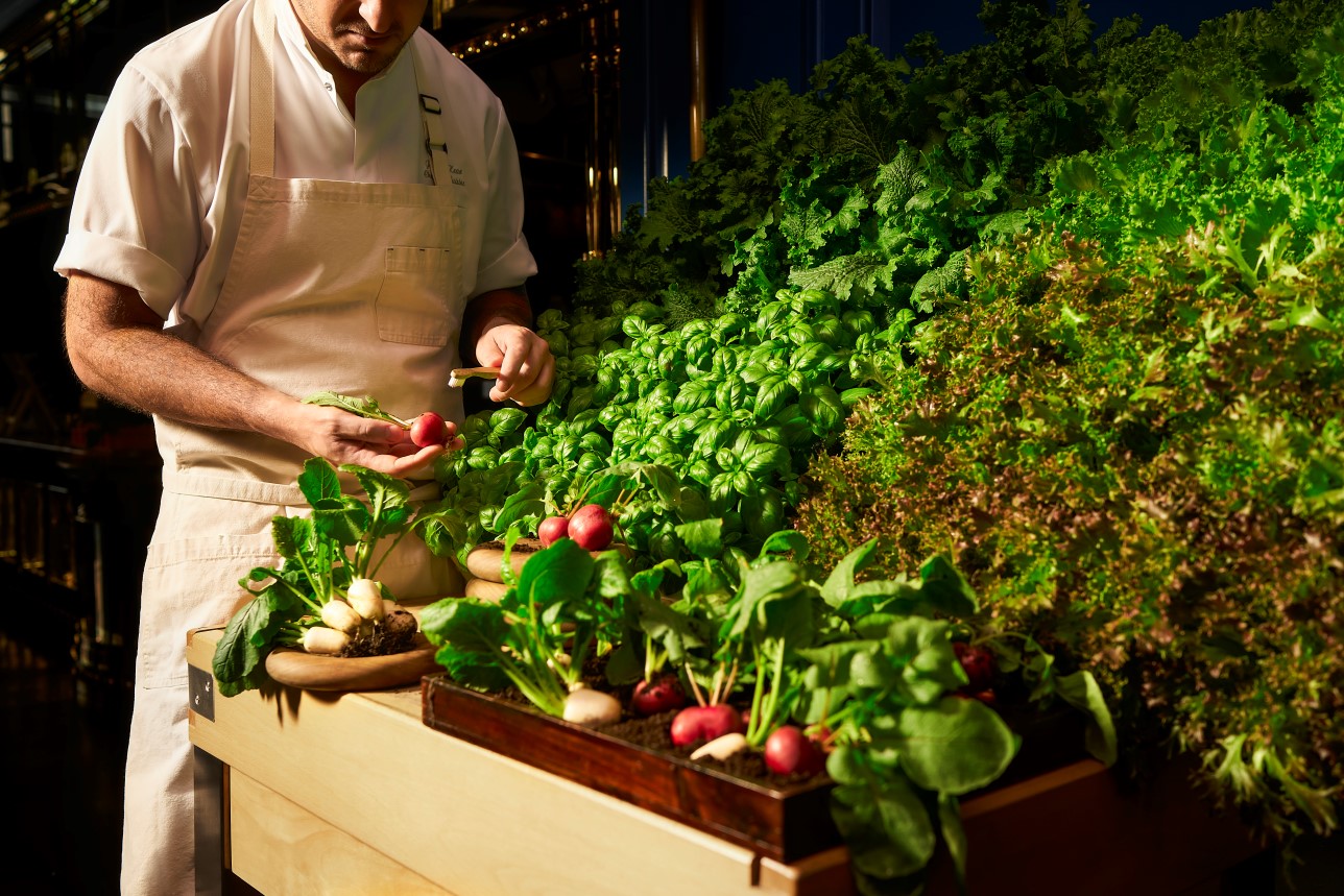 Go Green! Restaurants - Butcher's Block