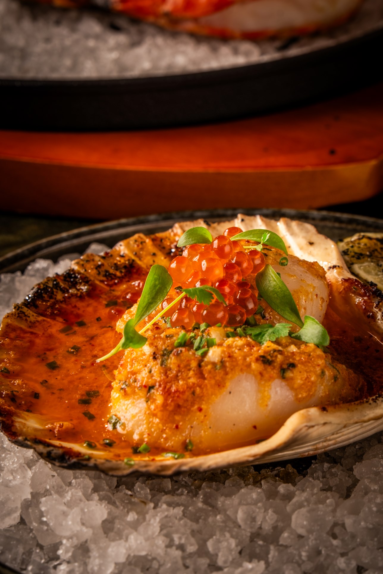 Christina's Shell-on Scallop.jpg