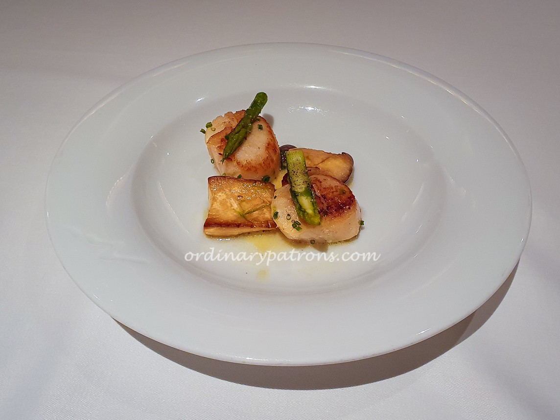 Scallops