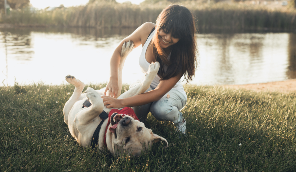 So Do Dogs Have Belly Buttons Furtropolis By Outward Hound