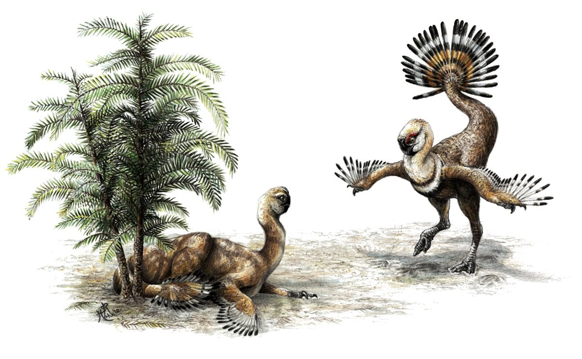 Scientists discover 75 million years old fossils of ‘Romeo and Juliet' dinosaurs Scientists discover 75 million years old fossils of ‘Romeo and Juliet' dinosaurs