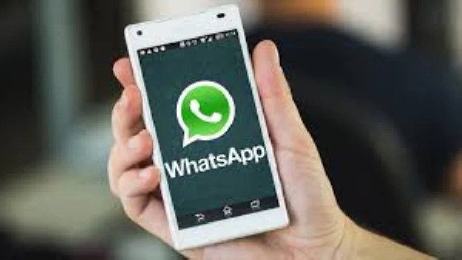 Whatsapp group chat