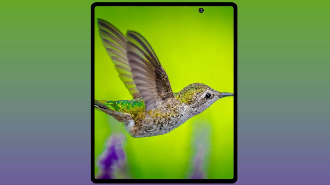 galaxy-fold-2