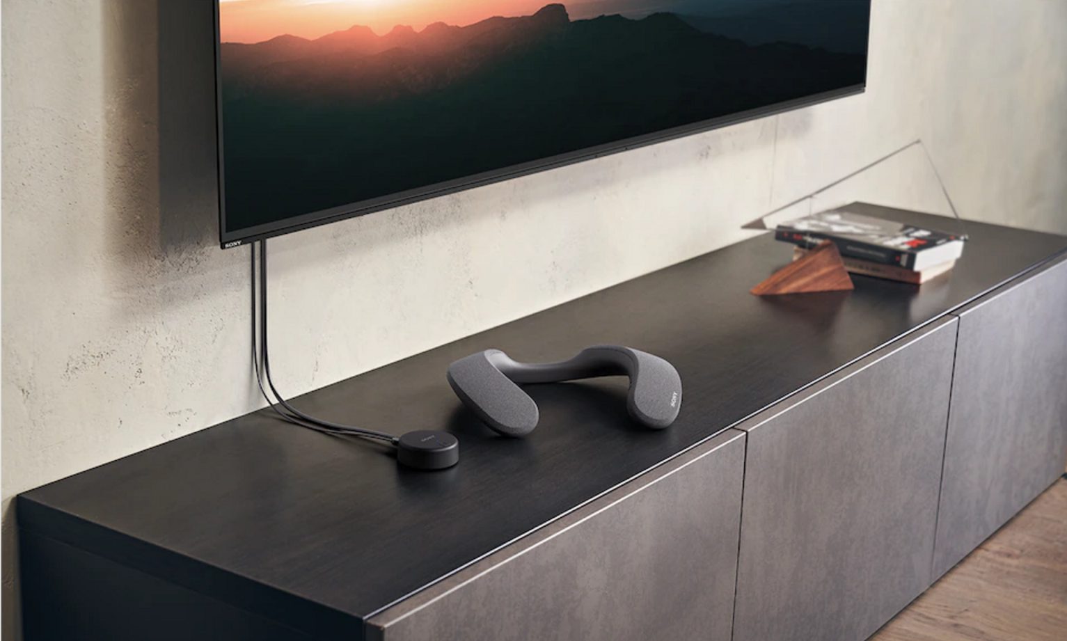 sony-wireless-transmitter-and-neckband