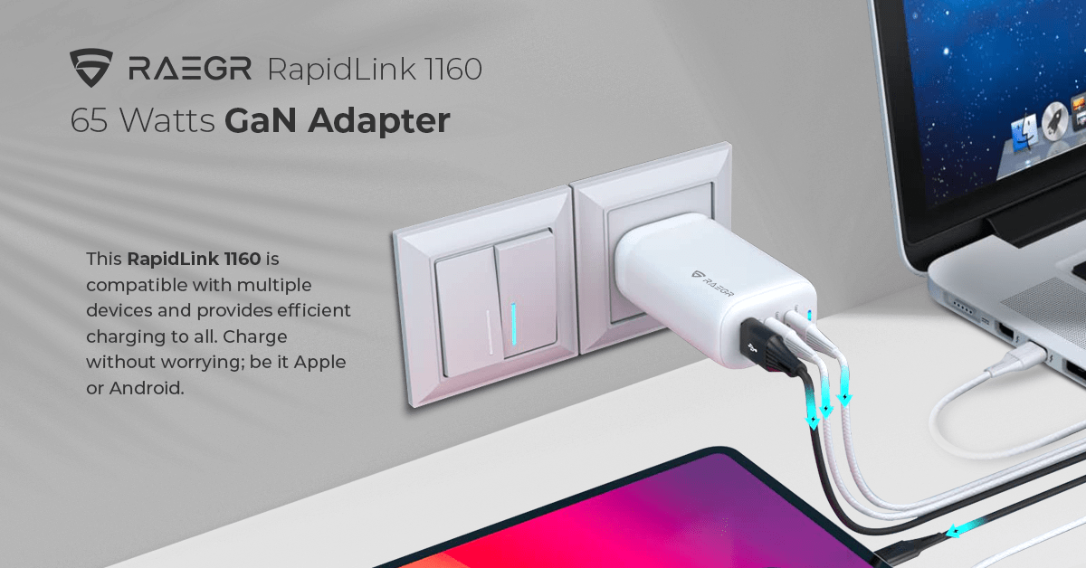 RAEGR RapidLink 1160 image