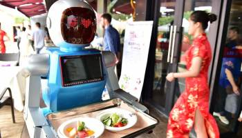 Professional Panda Cuddler As The World S Best Job For 32 000 Per Year Personal Finance News