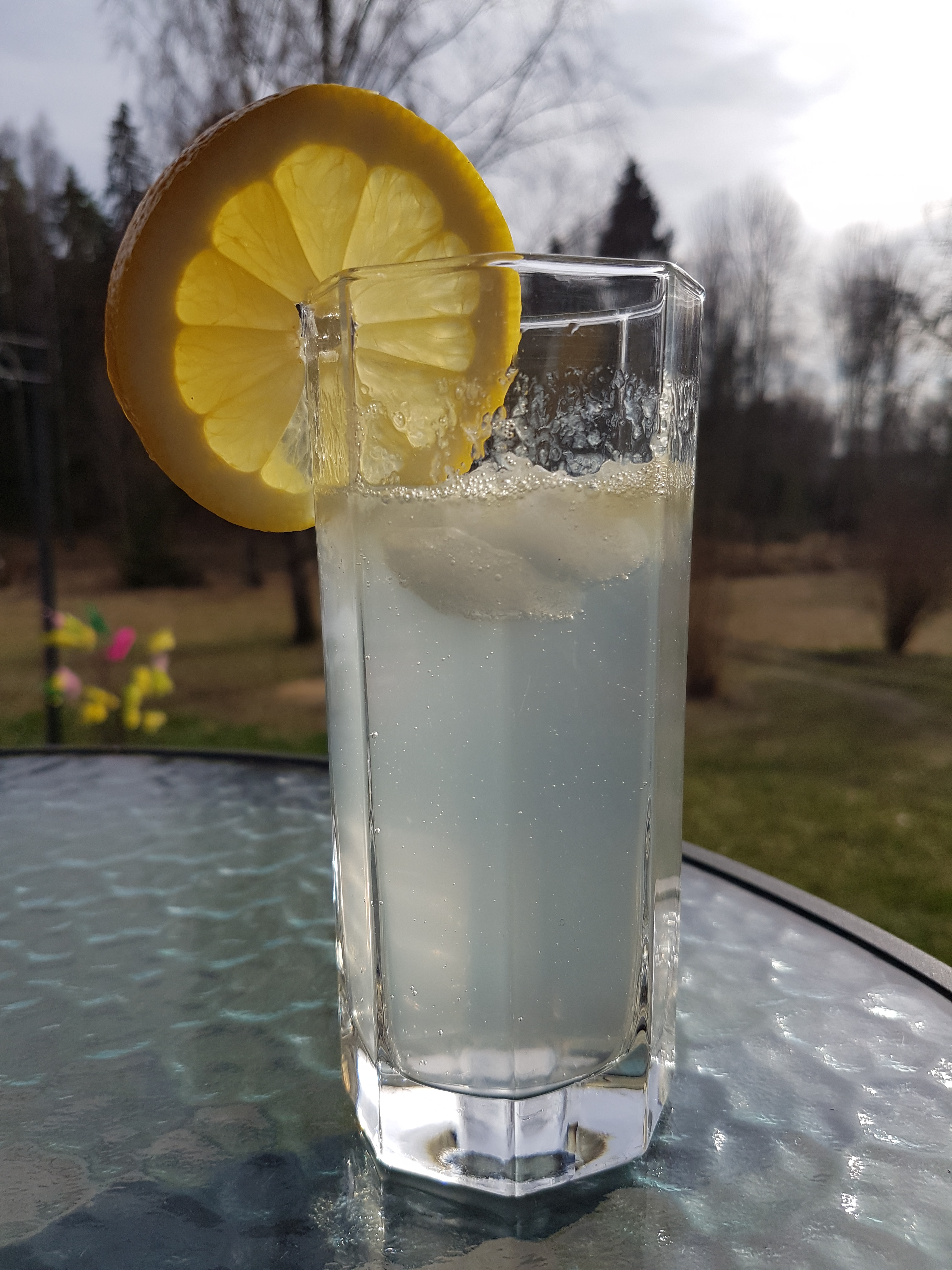 Den Internationella Gin Tonic Dagen Petterssons Gor Sverige Lagom