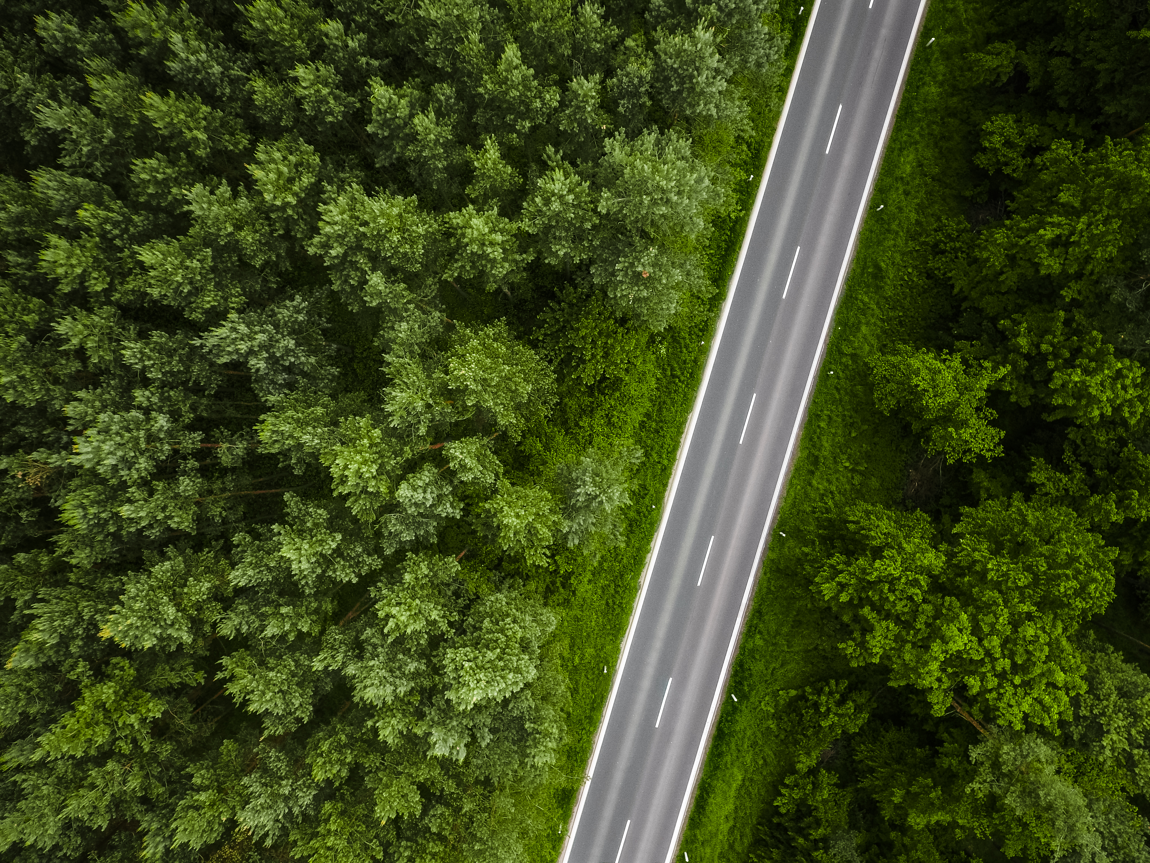 Aerial View of a Lonely Road in the Woods Free Photo