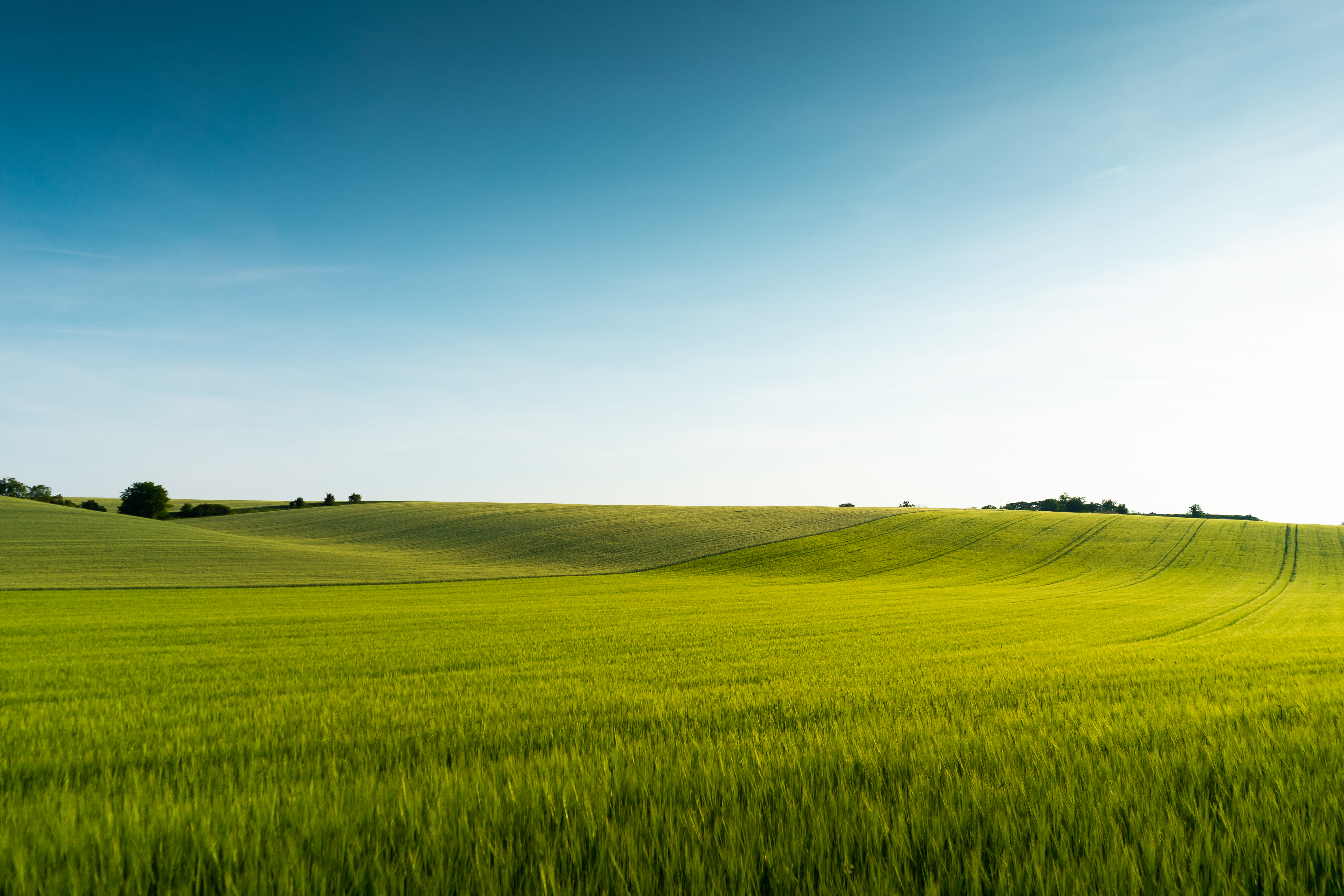 Beautiful Green Field Scenery Free Photo