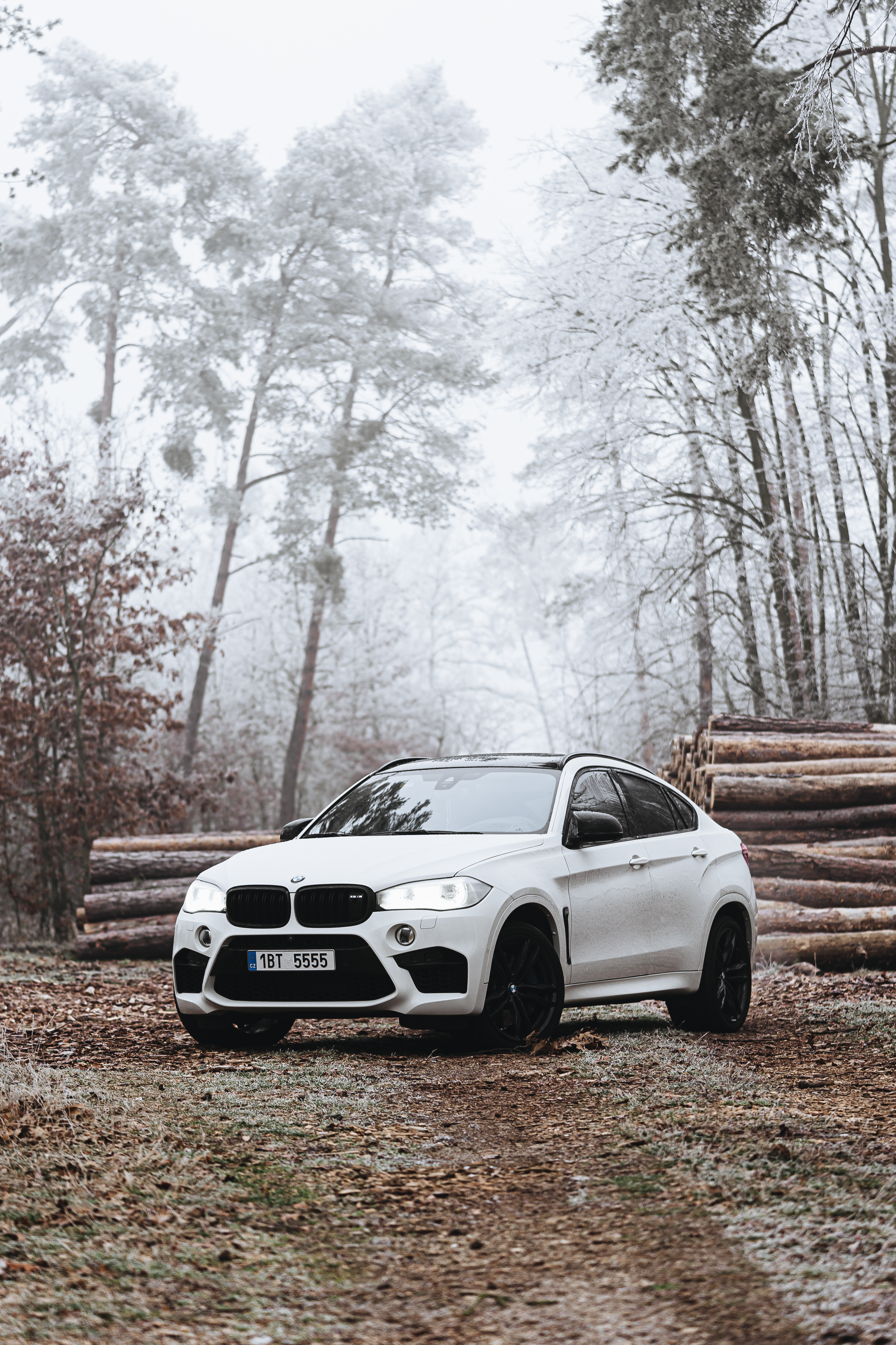 BMW X6M in Frozen Forest Free Photo