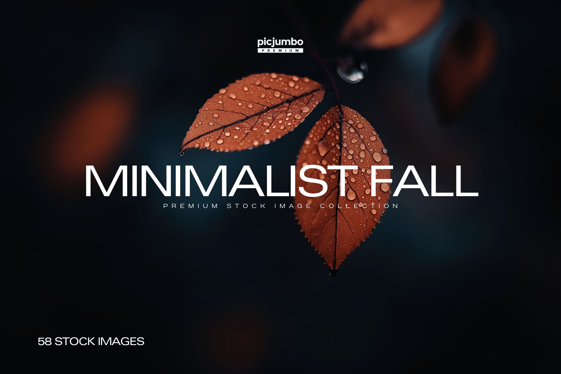 Minimalist Fall Photo Collection