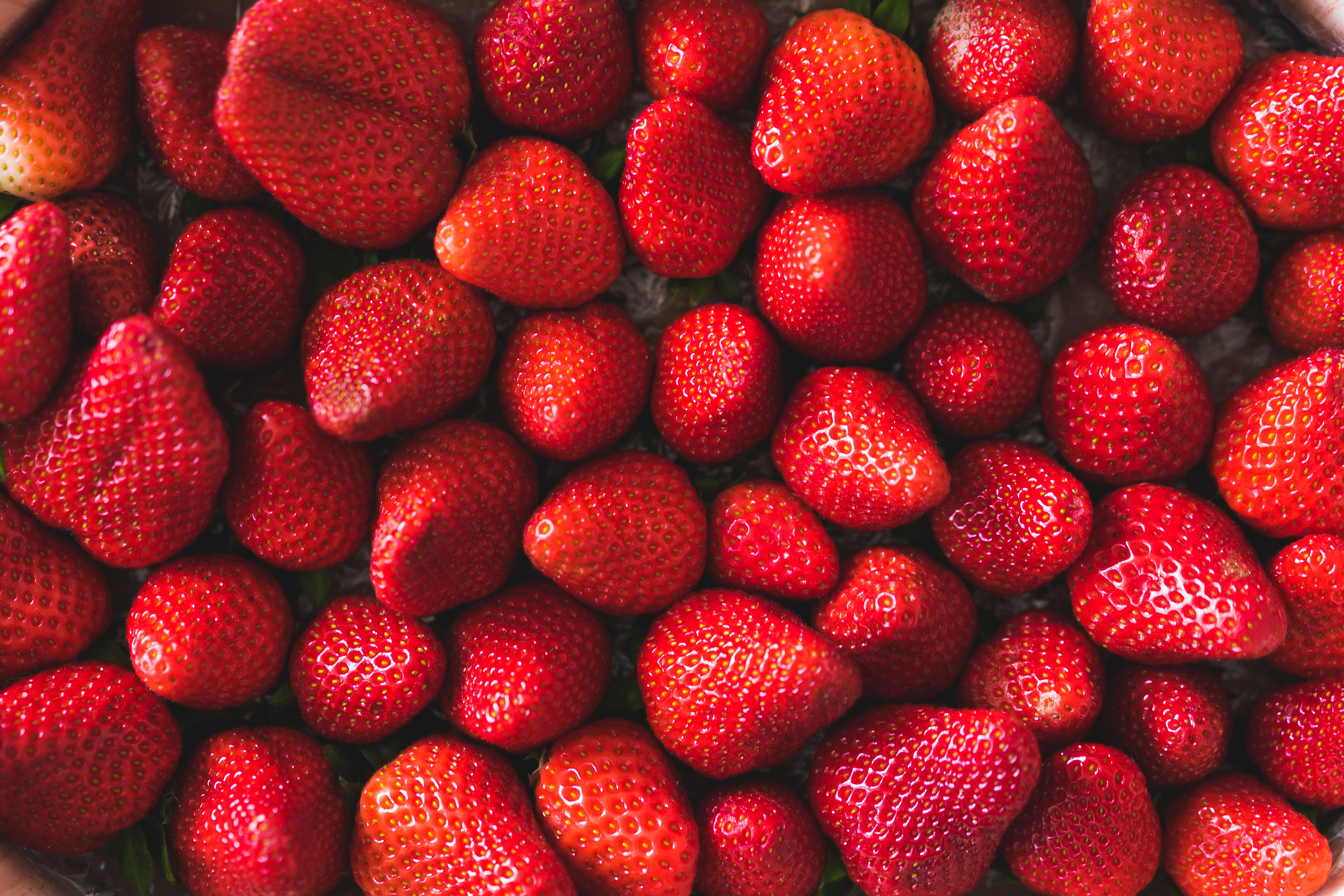 Strawberries Background Free Photo