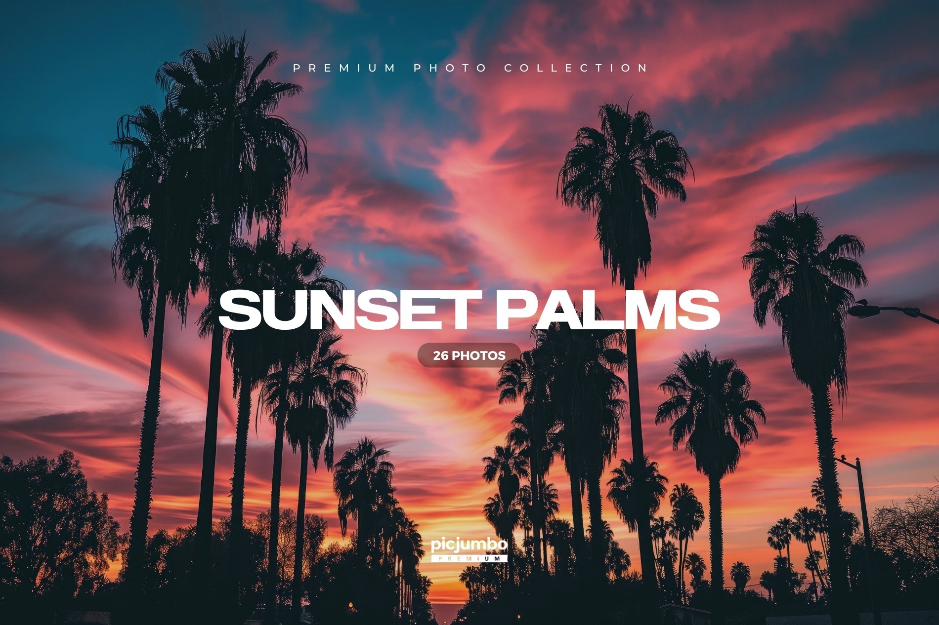 Sunset Palms Photo Collection