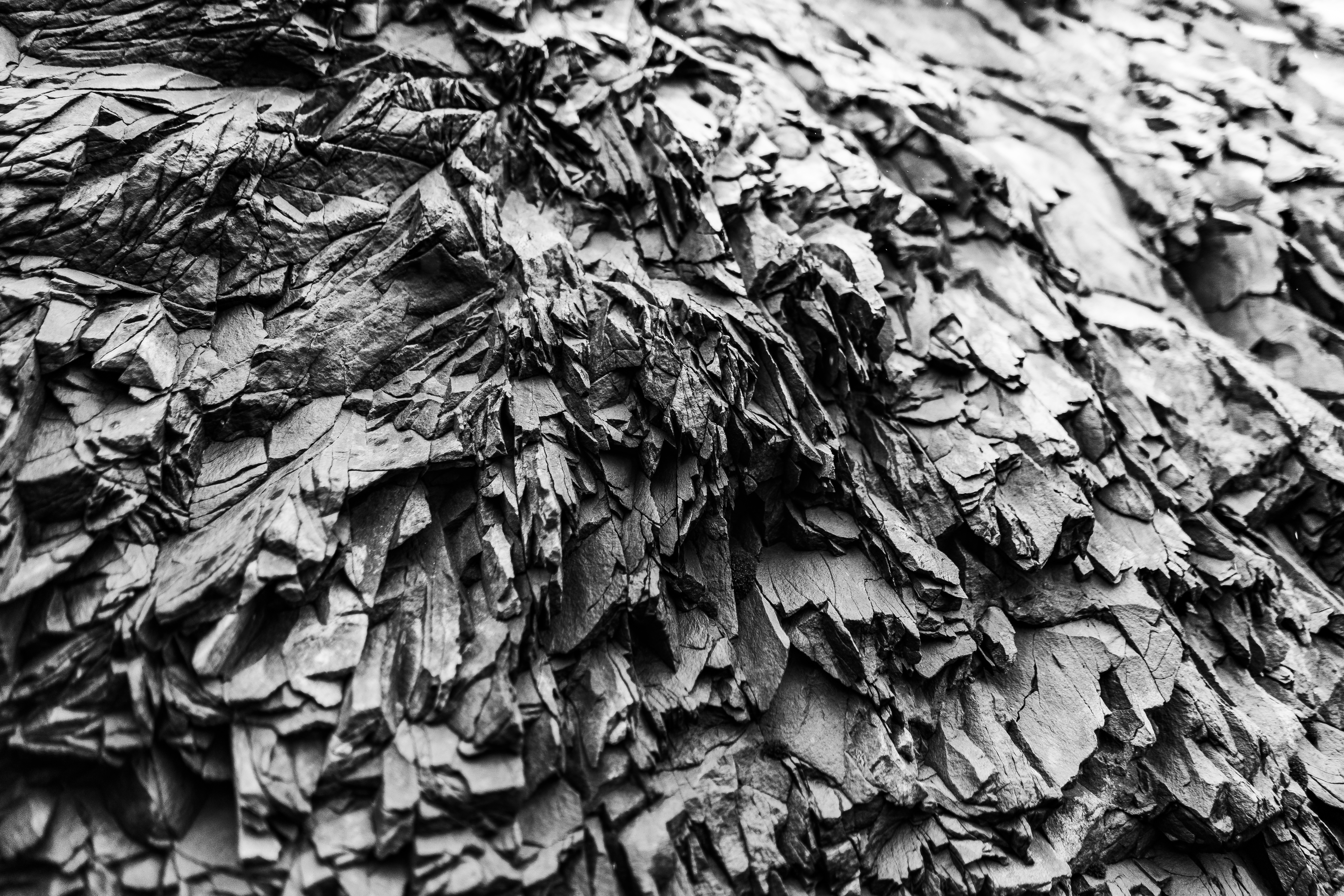 Texture of Black Rock in Iceland Free Photo