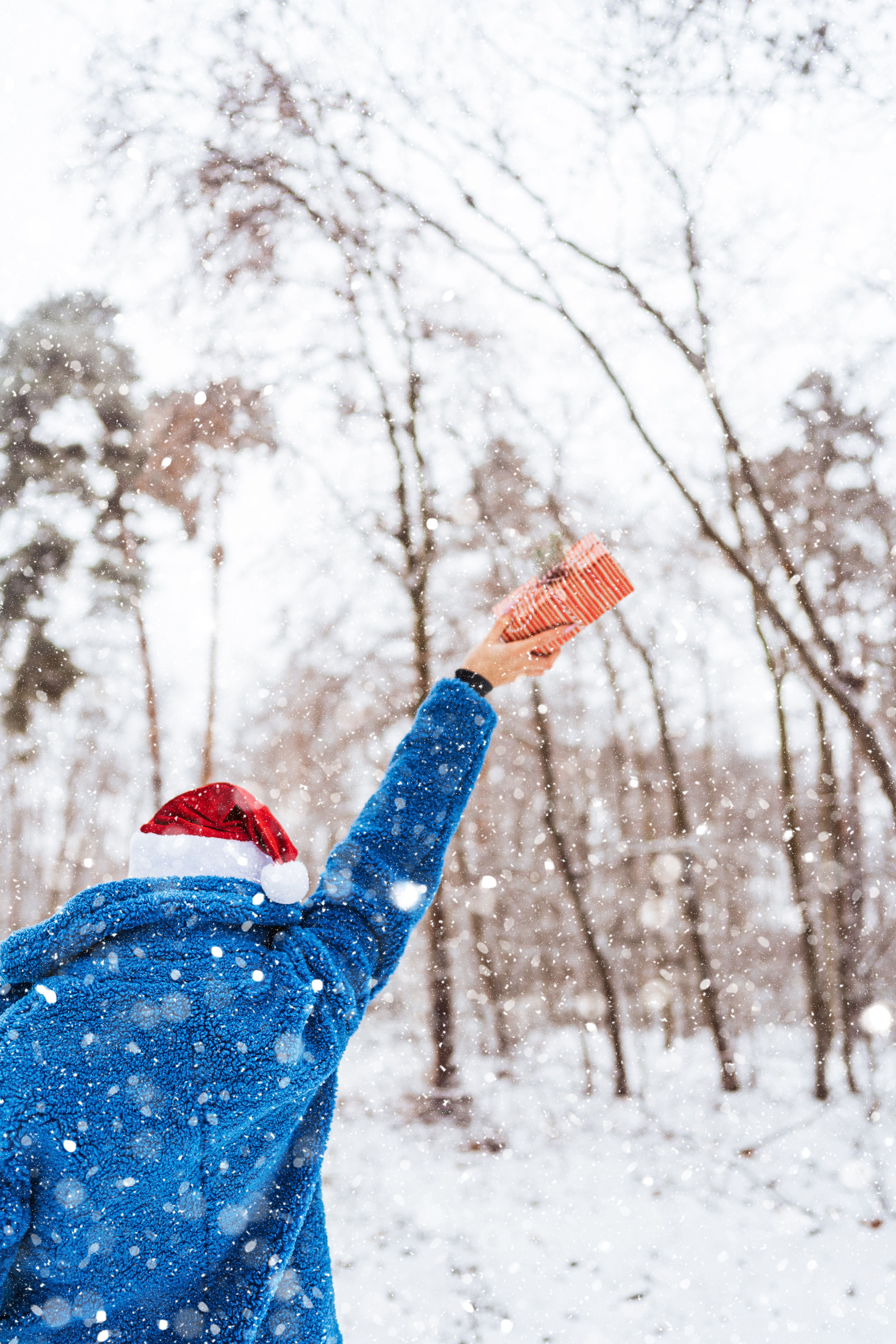 Woman Holding a Gift in a Snowy Landscape Free Photo