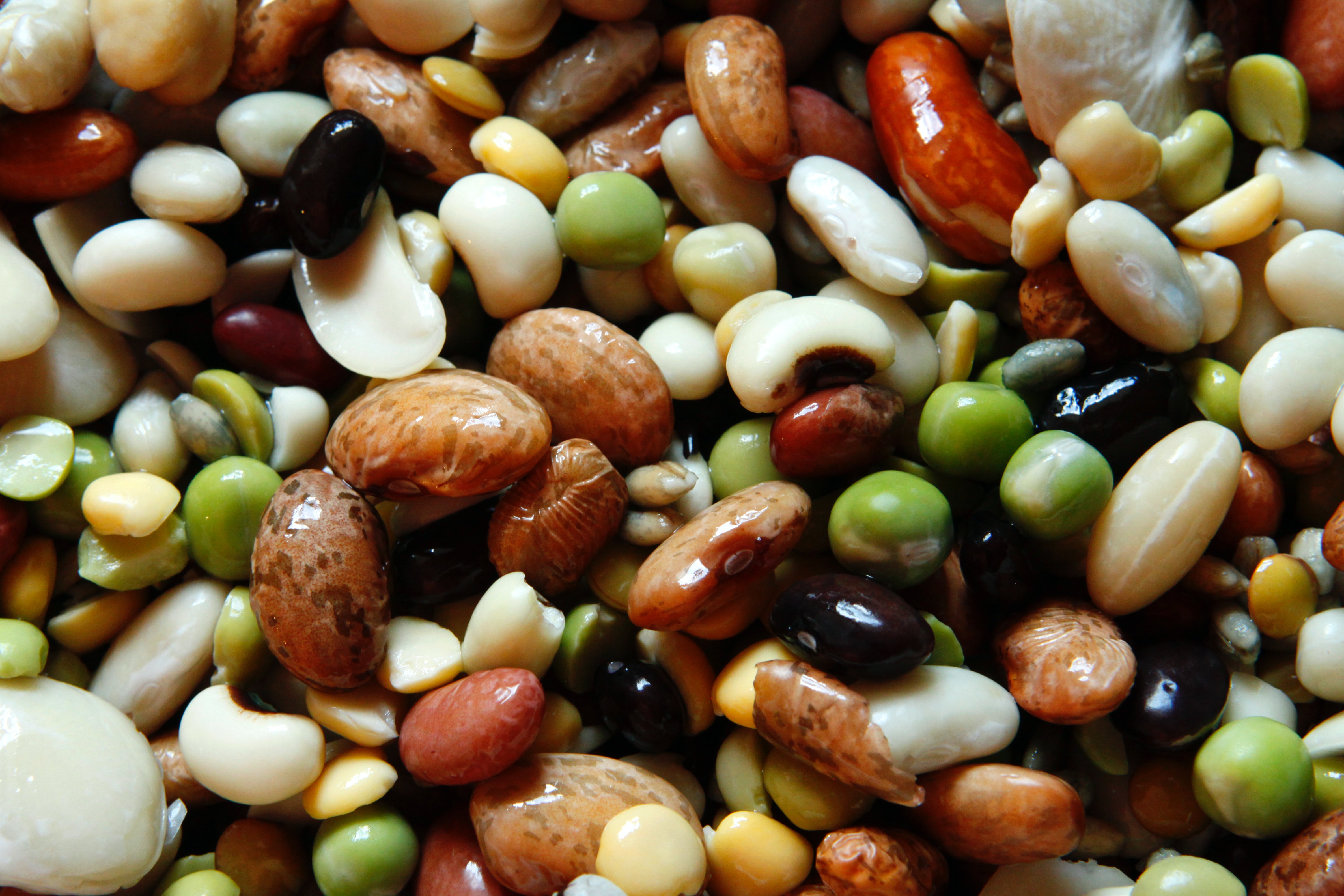 How To Properly Soak Your Legumes Grains And Nuts Plateful Nutrition
