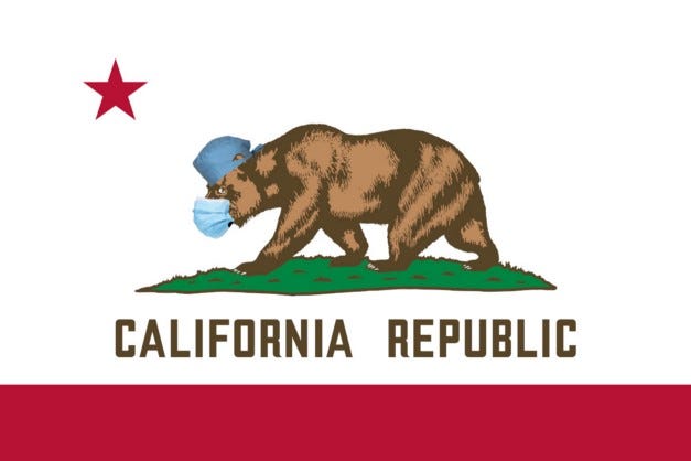 The state flag of California; the bear is wearing a scrub cap and procedure mask.