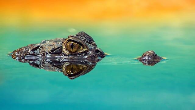 Autenticação de Dois Fatores (2FA)