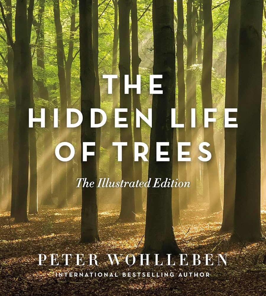Livro: The Hidden Life of Trees de Peter Wohlleben